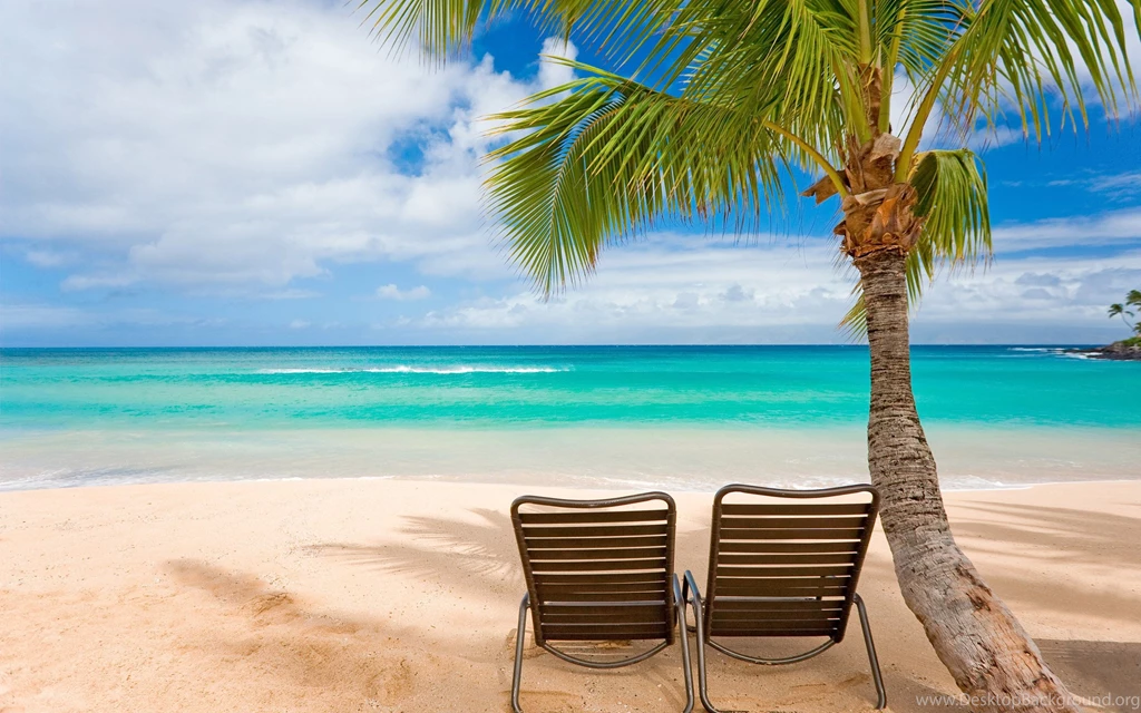 2560x1600 Tropical Beach Chair Wallpapers