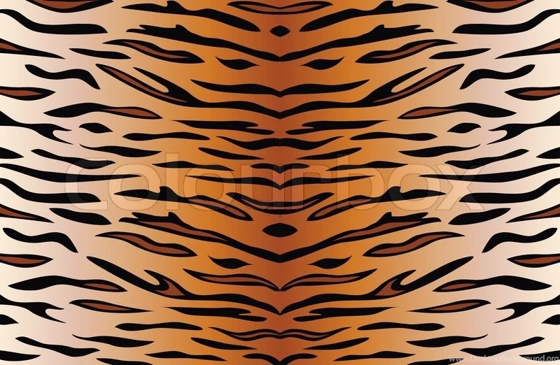 Vector Backgrounds Of Tiger Skin