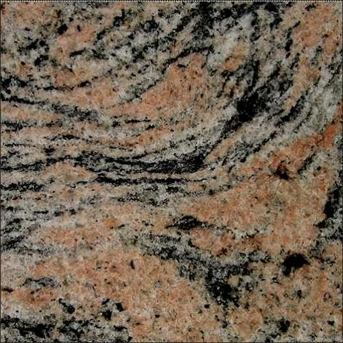 Tiger Skin 500
