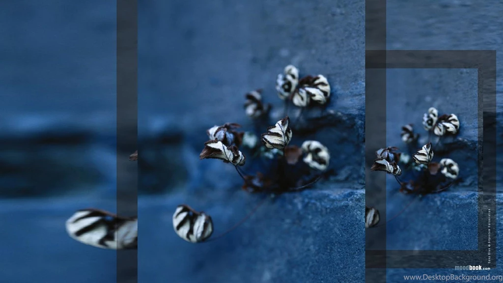 Deep Blue Wallpapers 889626