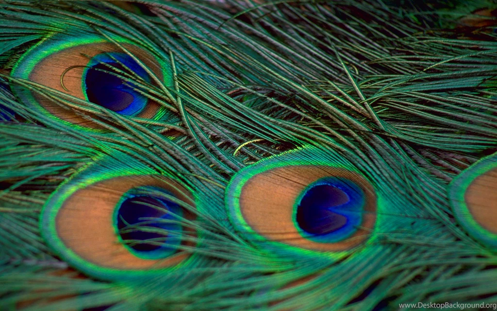Wallpapers Hd High Resolution Desktop Backgrounds
