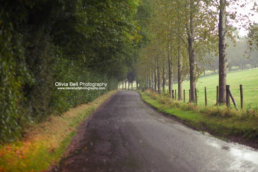 English Country Roads (Photo Series)   Olivia Bell Photography