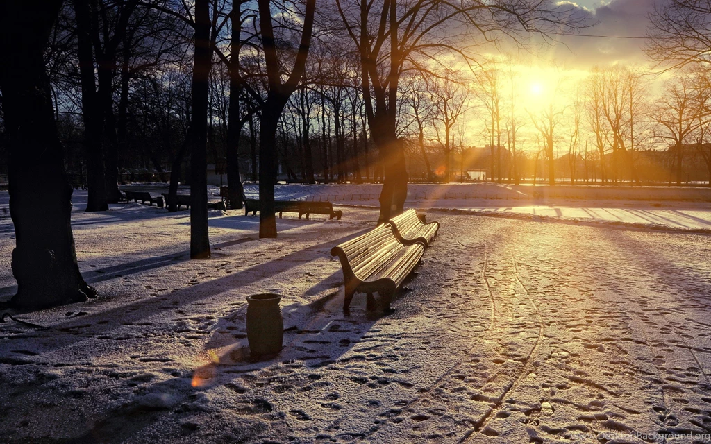 Beautiful Sunset In The Park   Winter Season