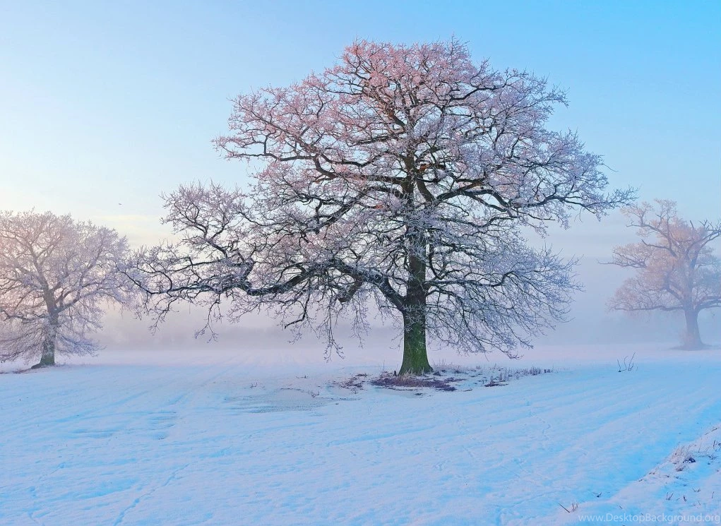 Winter Season Wallpapers