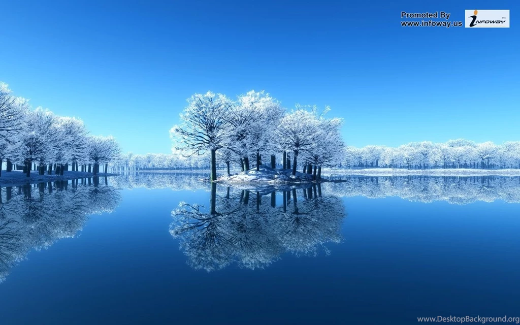 Winter Trees HD   Photo 18 Of 259