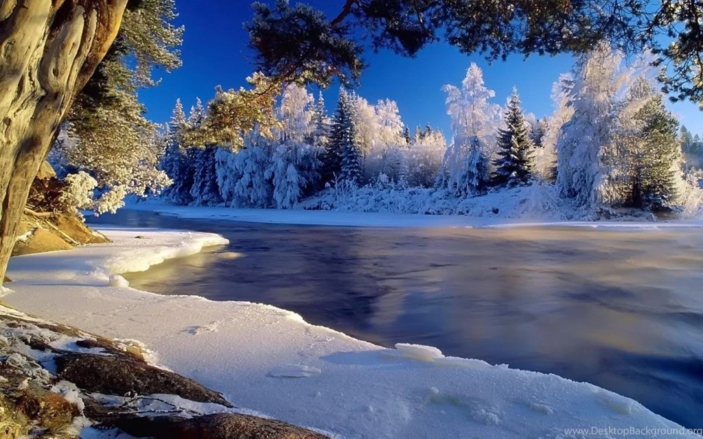 Winter Season HD Wallpapers 1000x777px
