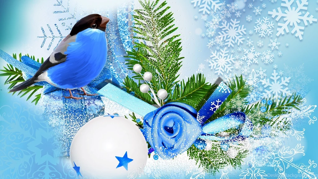 Blue Bird Winter Season Wallpapers