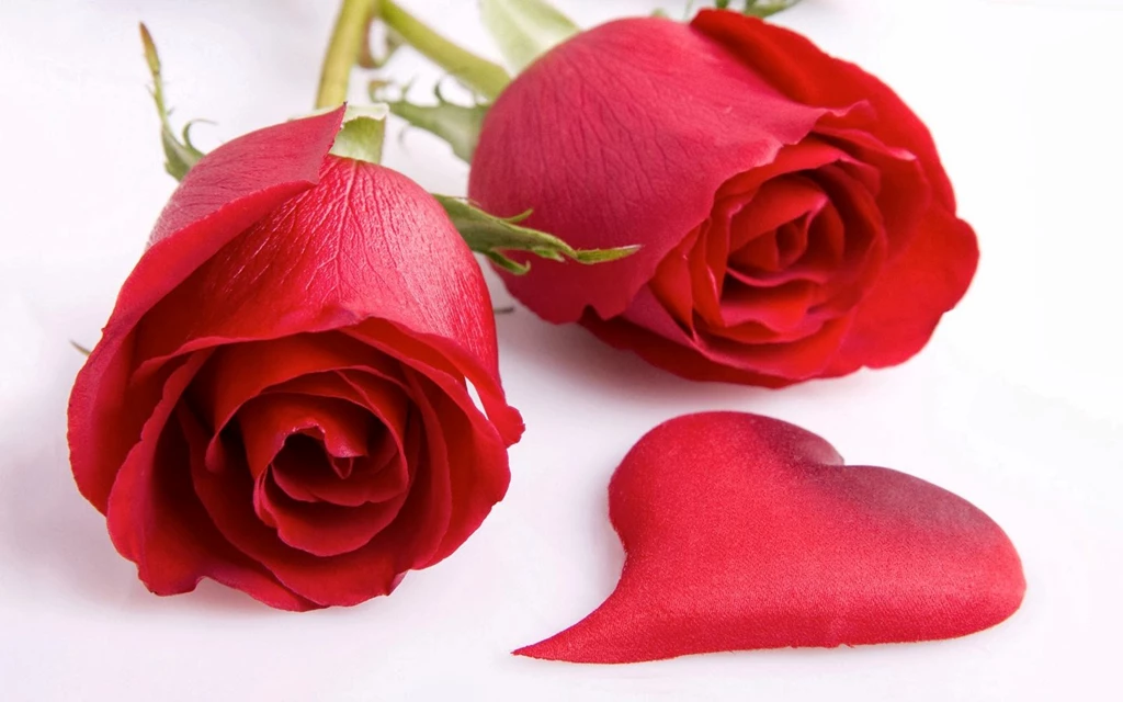 Happy Rose Day 2014 7 February Wallpapers For Desktop