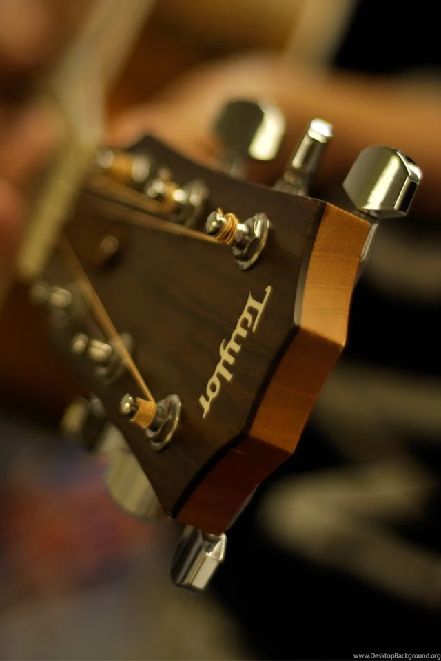 Taylor 414ce Headstock