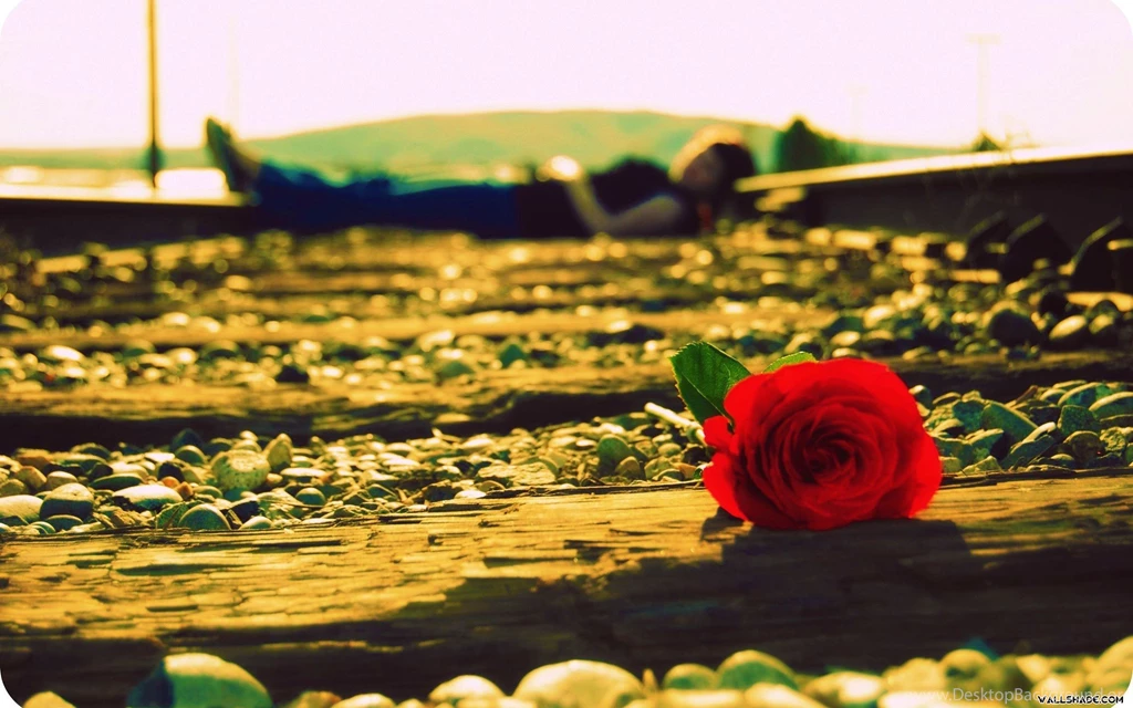 Free True Love Desktop Wallpapers 25601600