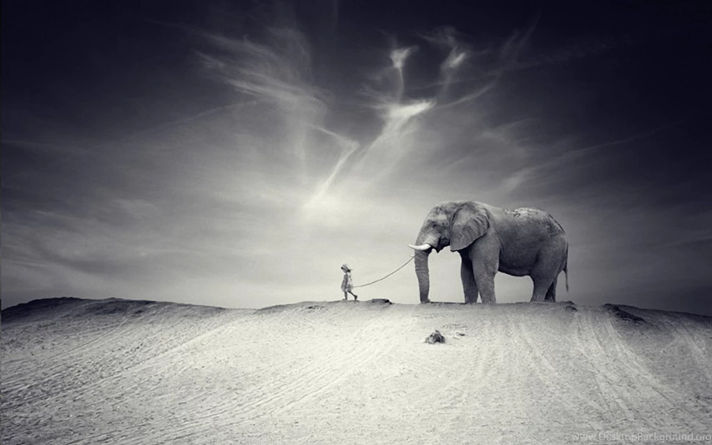 20 Amazing Elephants Wallpapers HD Tapandaola111