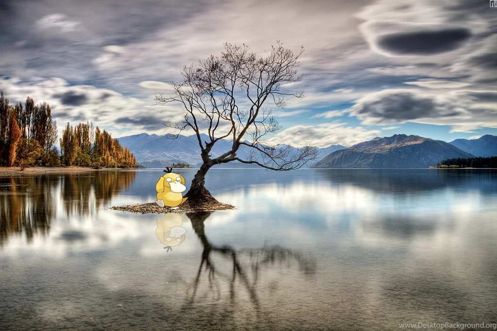 Psyduck : Wallpapers
