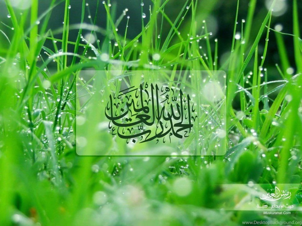 Beautiful And Attractive Islamic Desktop WallpapersPhotography ...