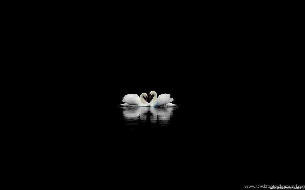 Quotes Fun And Pictures: Black Wallpapers Love