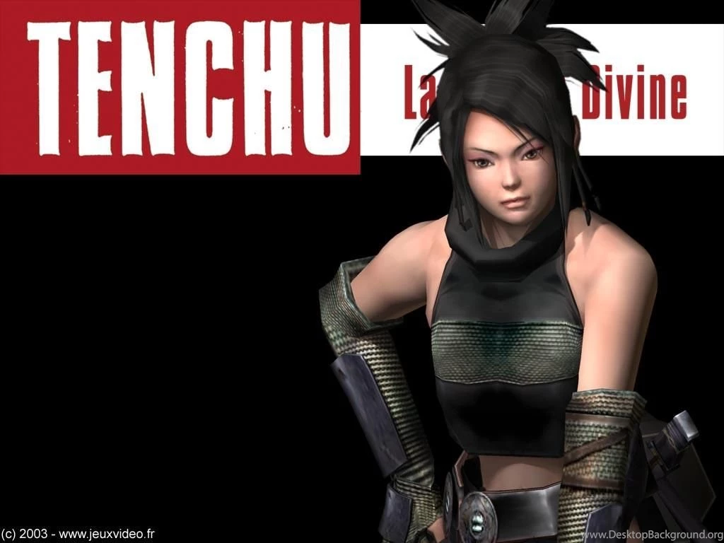 Wallpapers Heaven Tenchu Wrath Of Photo 1024x768