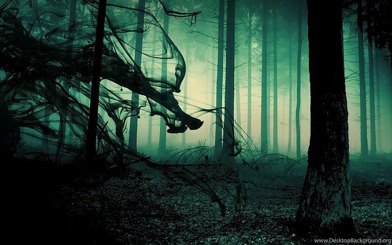 Creepy Dark Fog In Gothic Forest Wallpapers Free Desktop ...