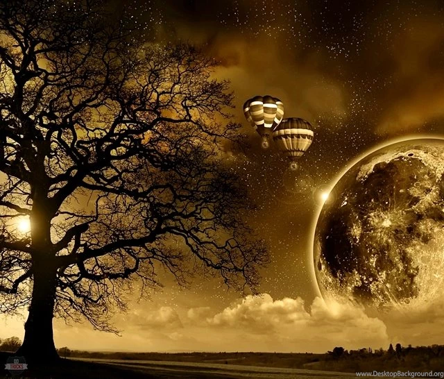 Latest Wallpapers 16   Best Wallpapers Collection