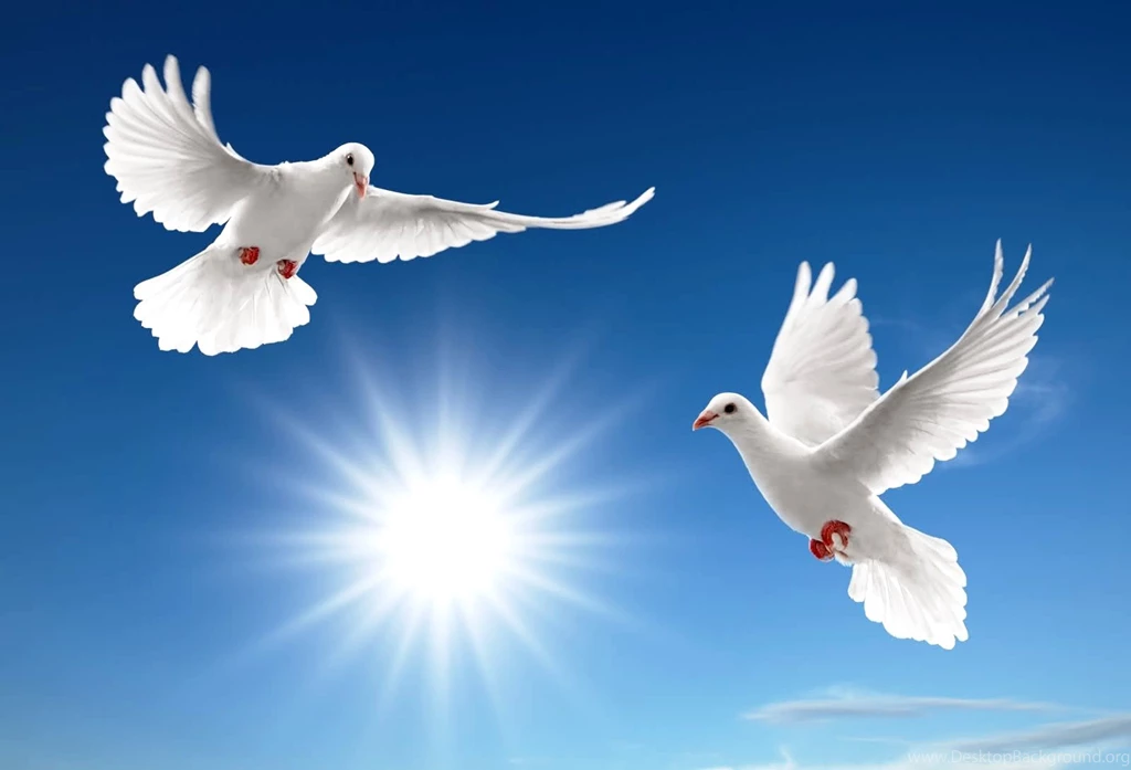 Computer Desktop Beautiful Backgrounds: Beautiful By Free Download ...