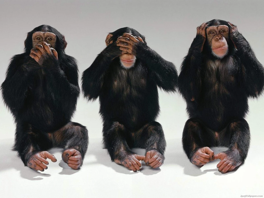 Chimpanzee Wallpapers Wallpapers Cave