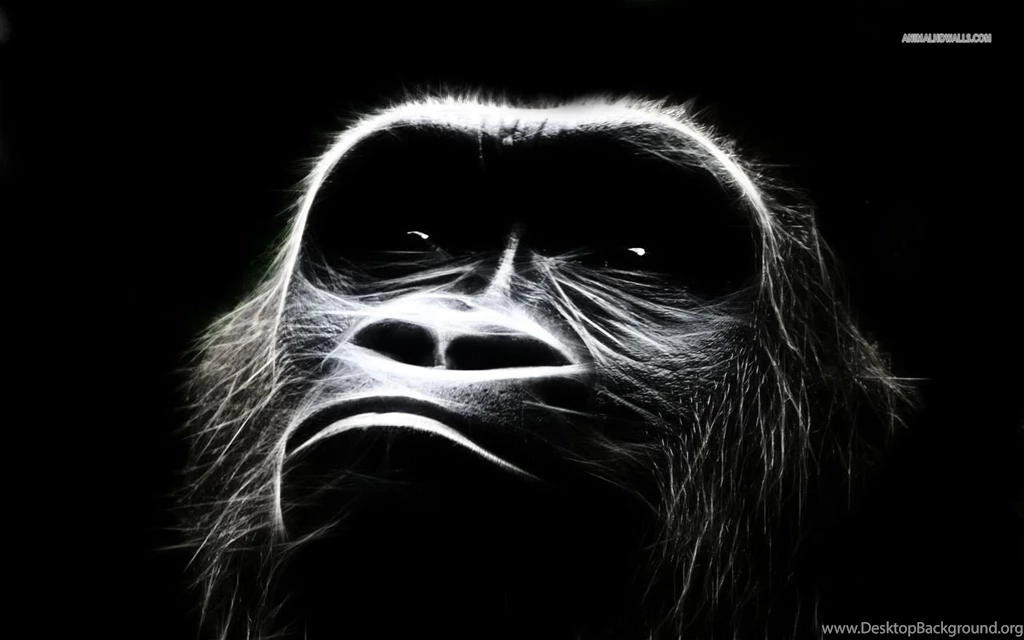 Chimpanzee Wallpapers Wallpapers Cave