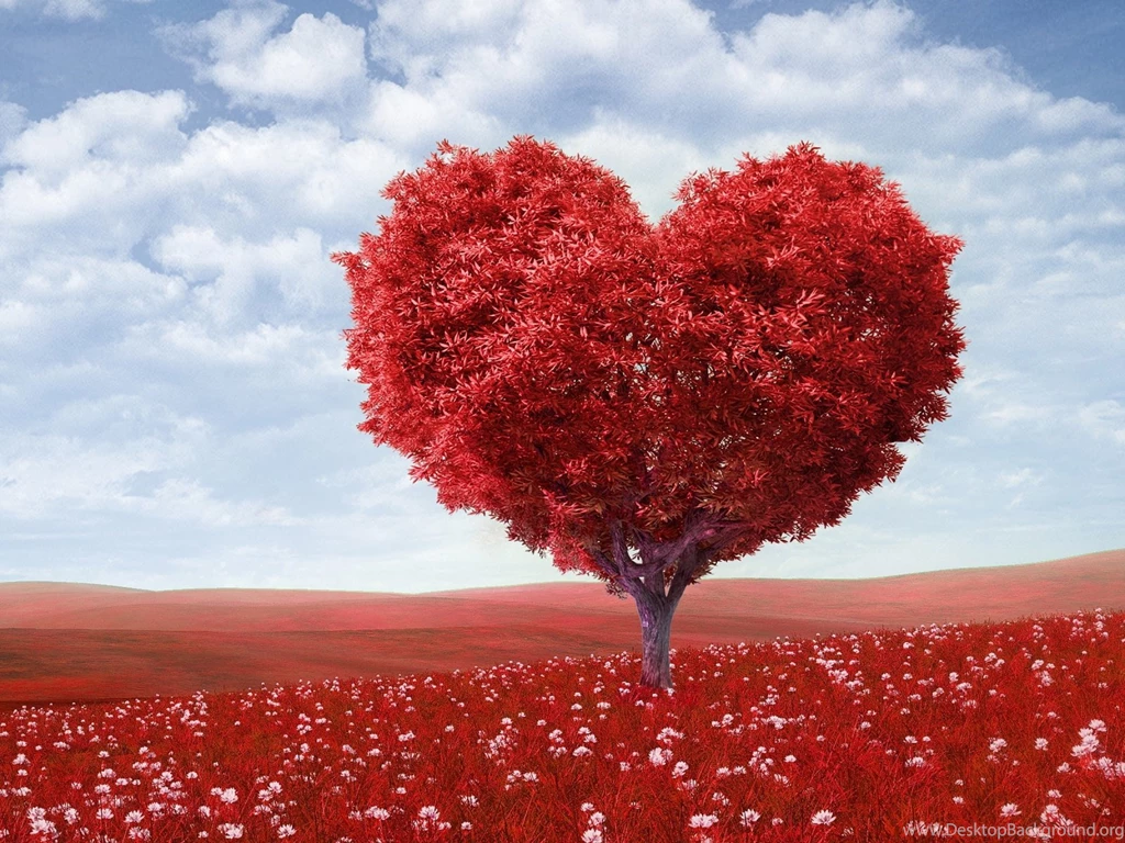Red Tree Desktop Wallpapers HD Wallpaper Backgrounds Of Your Choice
