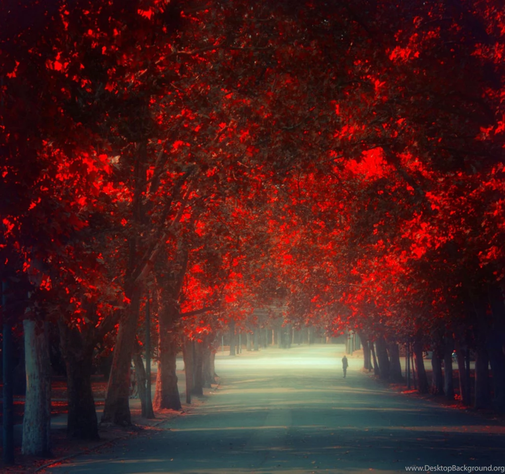 Red Trees (