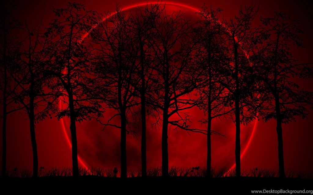 Red Moon, Tree, Artistic, 2560x1600 HD Wallpapers And FREE Stock Photo