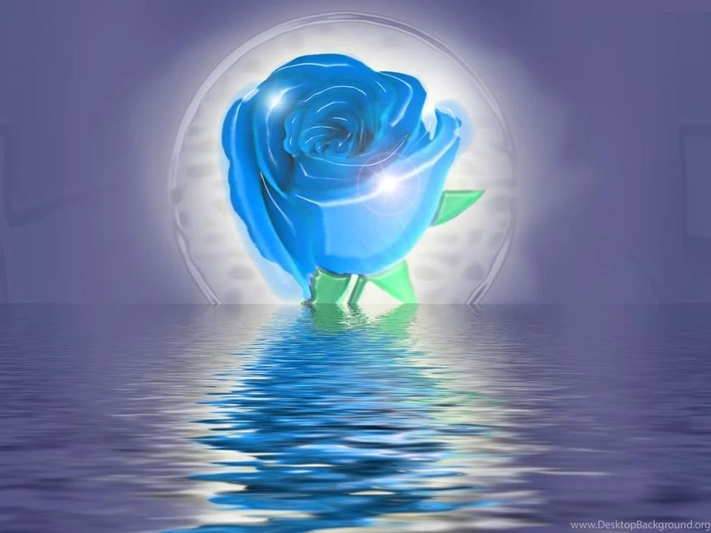 3D Love Rose 3D S 1024x768 High Definition 248760