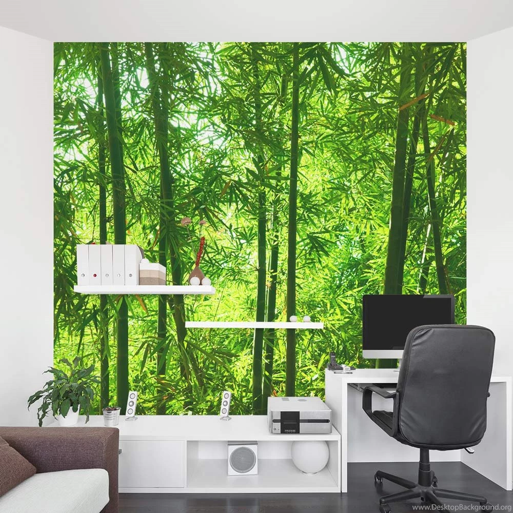 Jestingstock.com Mural Wallpapers Forest