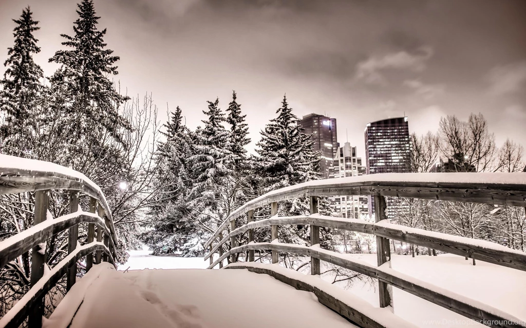 Winter In Calgary *** >> HD Wallpaper, Get It Now!