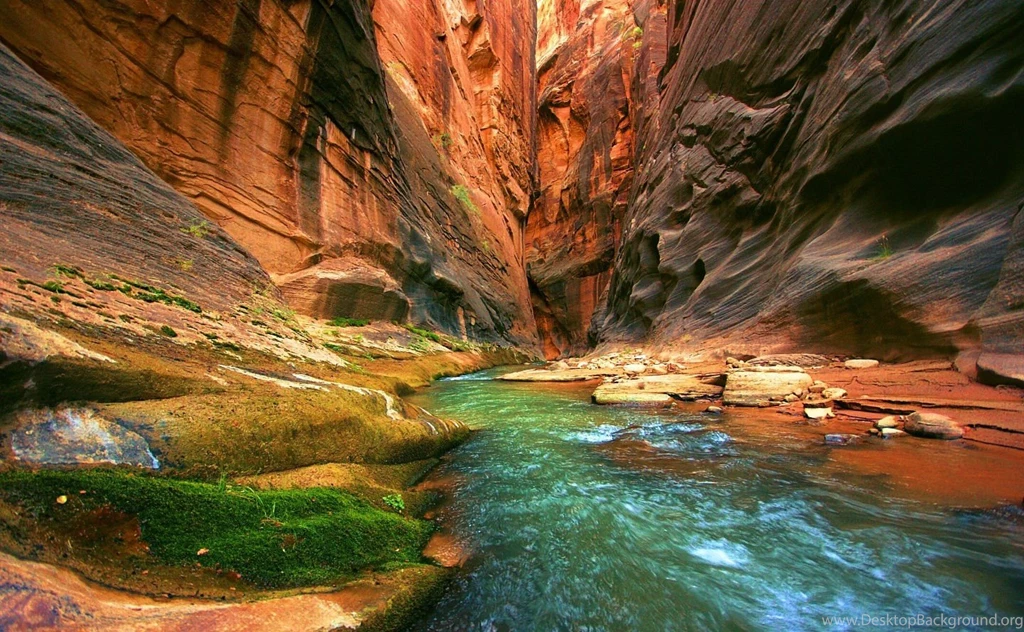 Zion National Park 04