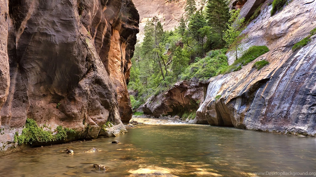 Zion National Park Narrows Wallpapers   Wallpaper.