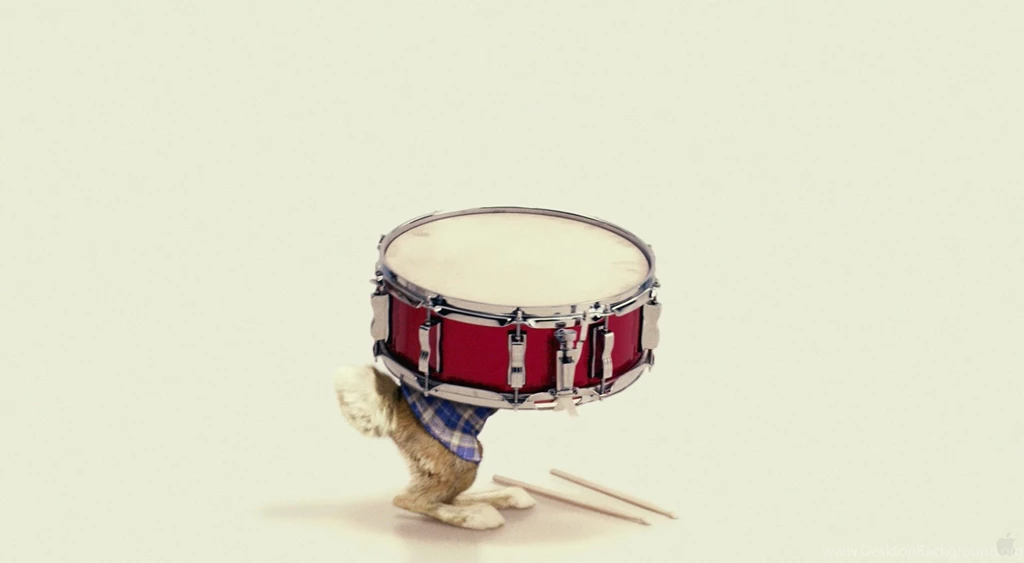 Hop drums 041.jpg