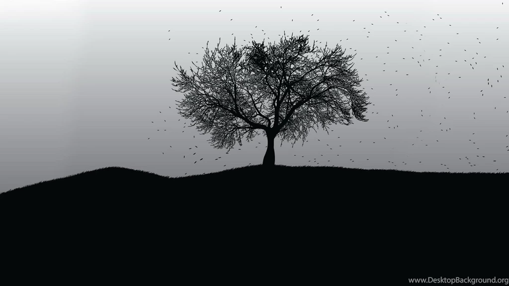 Tree Wallpapers Black And White Desktop Backgrounds
