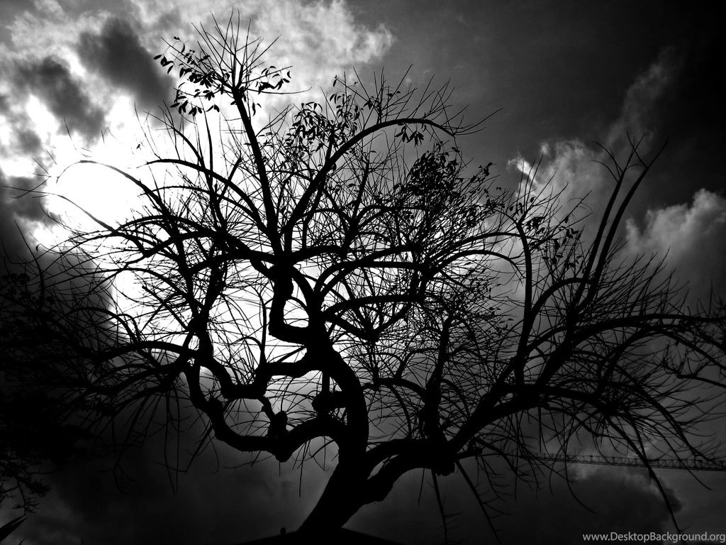 Black Tree By DonSalieri91 On DeviantArt