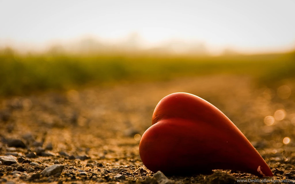 Red Heart Lost On The Way HD Wallpapers