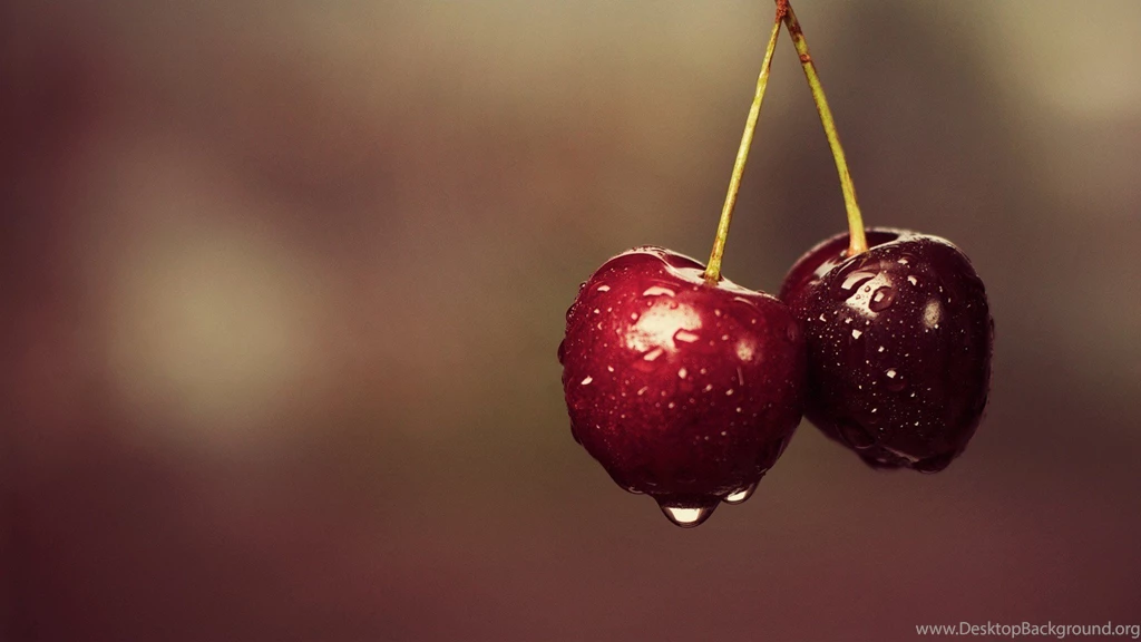 Lovely Wallpapers