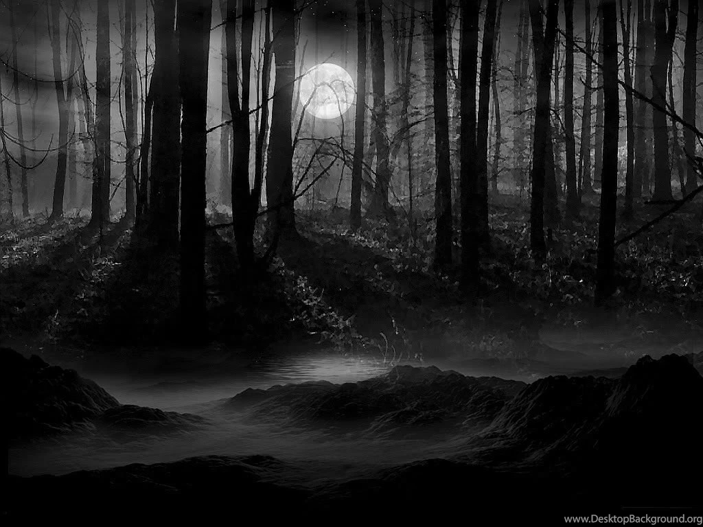 Dark Forest Moon Wallpaper.