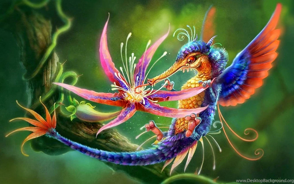 Best Ever Birds Wallpapers Free Download PC Online Fun