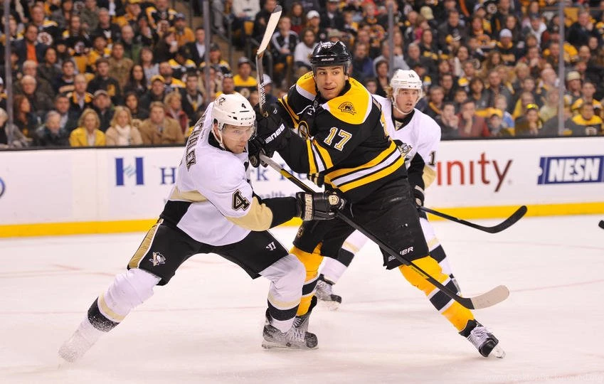 Bruins Vs. Penguins 02/04/2012 Boston Bruins Photo Galleries