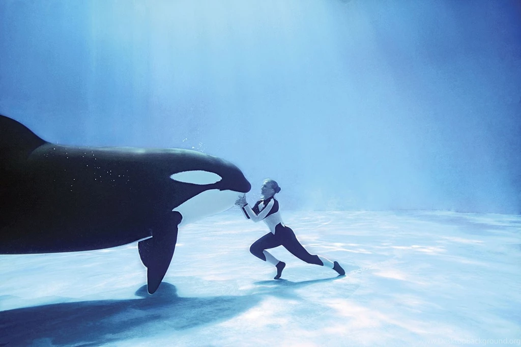 Orca Captivity Quotes. QuotesGram