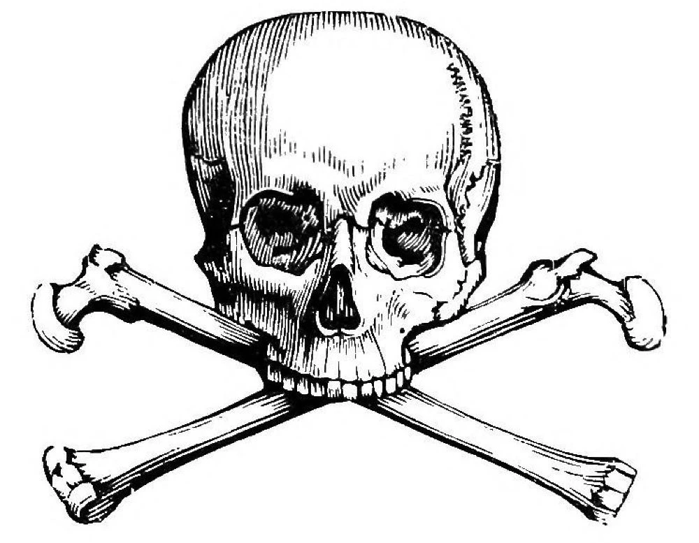 Skull And Crossbone Wallpapers Android Apps And Tests AndroidPIT
