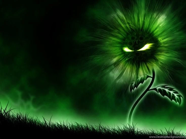 Cool Pictures