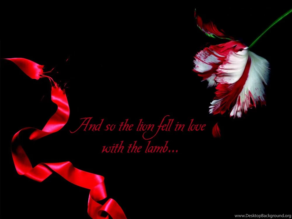 Wallpapers Twilight Saga By Skymone Customize.org