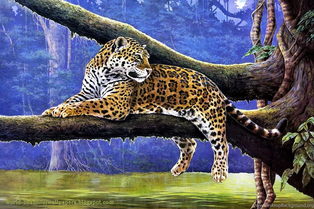 Nature Painting Wallpapers Nature Wallpapers