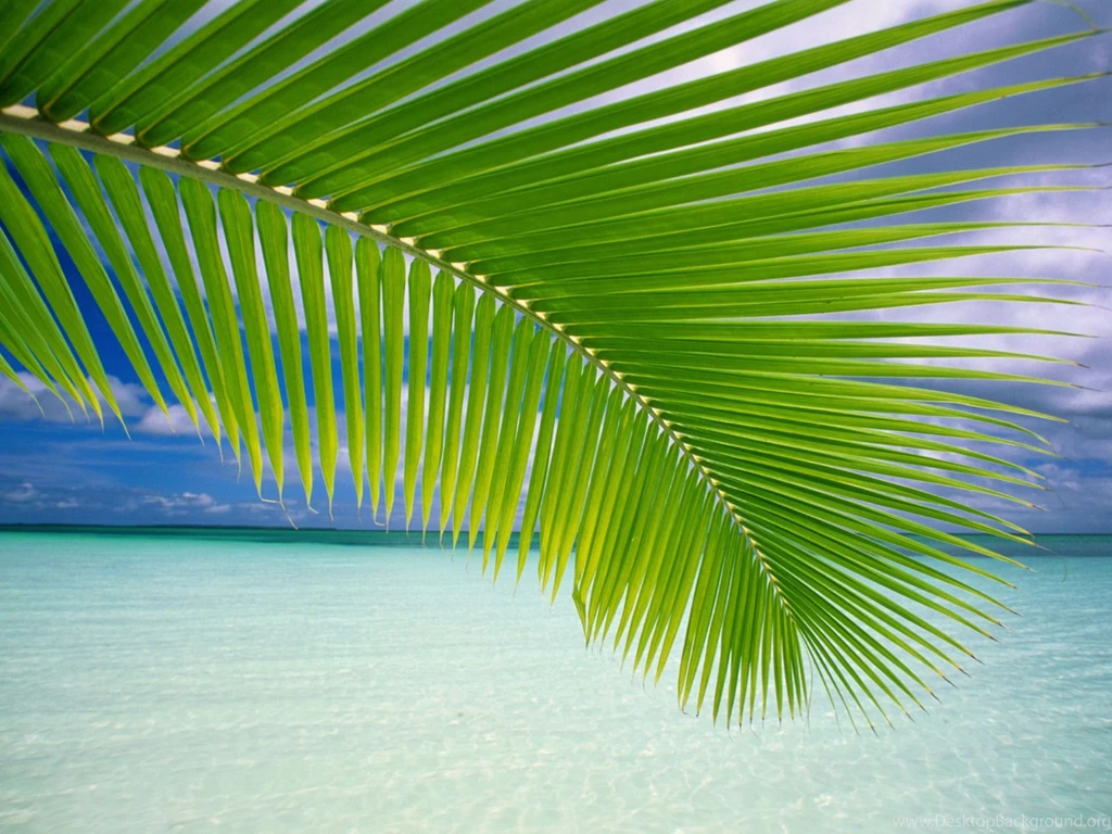 Ocean Scenes Wallpapers Wallpapers Cave