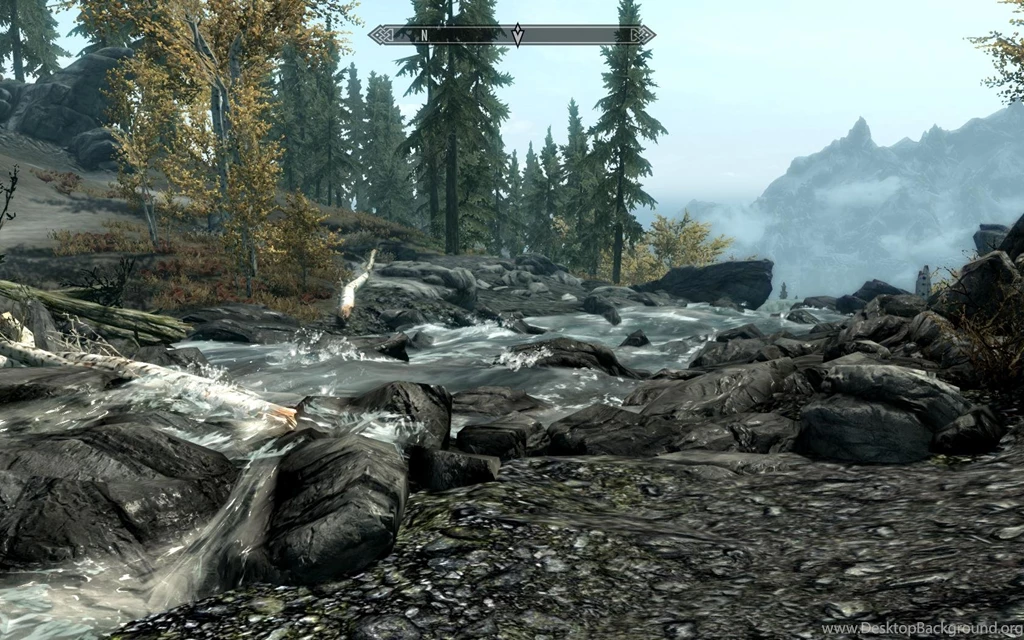 Skyrim Nexus Mods And Community