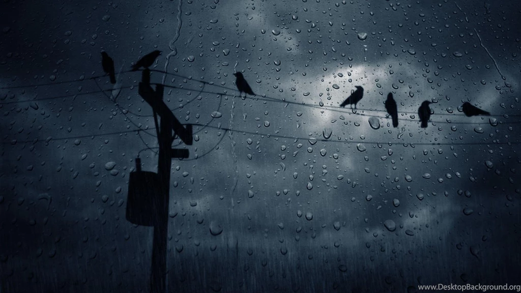 Rain Fall Window Wallpapers Wallpapers