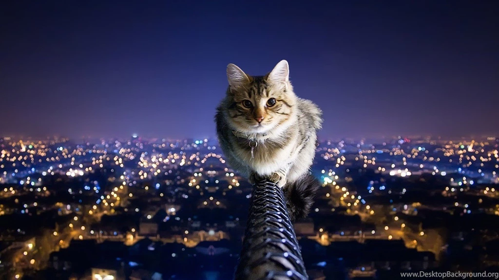Intelligent Security Guard Windows 10 Wallpapers