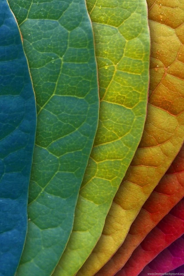 HD Wallpapers Source Page 397 Of 489 100% Quality HD Desktop ...